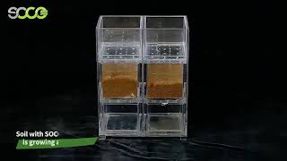 Soil Erosion Test