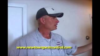Bed Bugs In Newtown, Yardley, Feasterville, Doylestown, PA: How To Kill Bed Bugs With Heat
