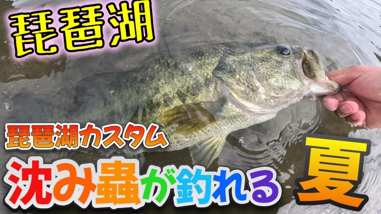 一誠沈み蟲カスタムで戸愚呂無双！琵琶湖虫系ワームに好反応！【琵琶湖バス釣り】