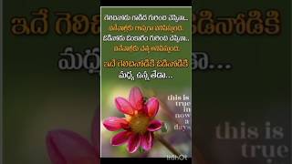Jeevitha sathyalu #life#quotes