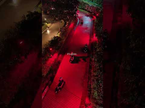 🇲🇾🇸🇬