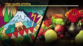 Mimaki Ujf 3042 Mkii & 6042 Mkii