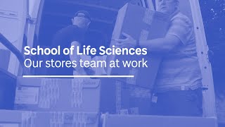 Our Stores Team At Work