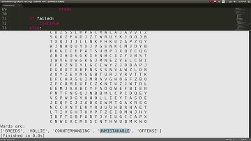 QUICK Python Wordsearch Generator