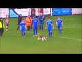 Beagle disrupts soccer match | FUNNY | Beagle Universe