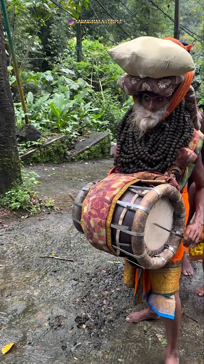 Swami Ayyappan 🙏 #sabarimala #ayyappa #ayyappaswamy