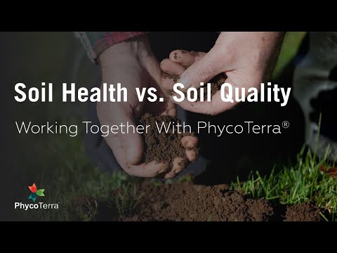 What is Soil Health? | What is Soil Quality? | We Explain the Similarities and Differences