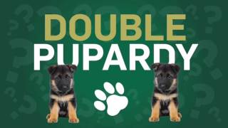 Pup Quiz with Colorado State University Volleyball Team screenshot 1