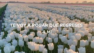 Yo Te Sigo Queriendo × Selena (Letra)