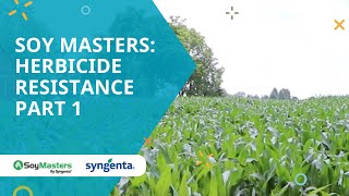 Soy Masters: Herbicide Resistance Part 1