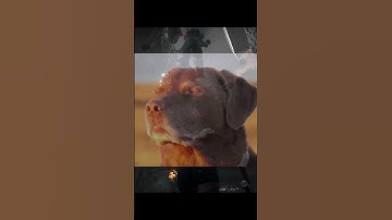 #dbd #dbdmemes #gaming #dbdshorts #deadbydaylight #dbdsurvivor #dbdclips #dbdgameplay