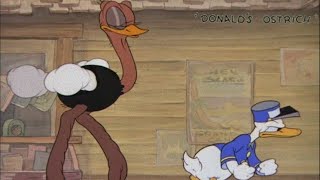 Donalds Ostrich 1937 Disney Cartoon Short Film Donald Duck Review And Recap