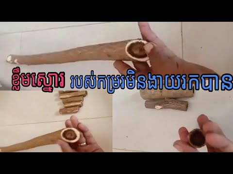 ខ្លឹមស្នោជារបស់កម្ររកបាន