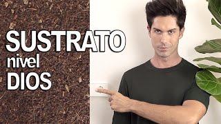 🌿 COMO preparar el MEJOR SUSTRATO para PLANTAS de INTERIOR y SUCULENTAS!!(Pasa al siguiente nivel!)💚