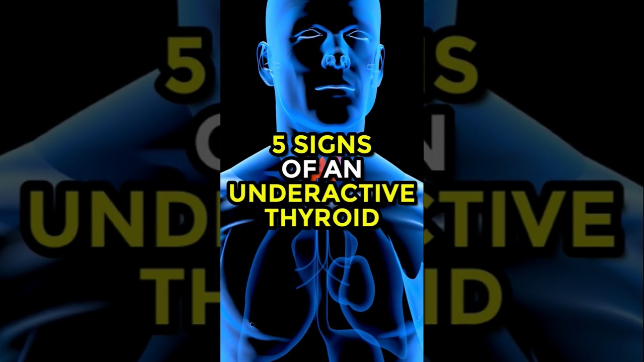5 Signs Of An Underactive Thyroid