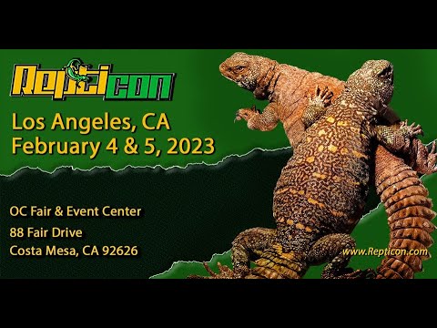 Repticon Reptile Show Costa Mesa California February 2023 - YouTube