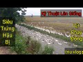Kỹ Thuật Lên Đàn Cho Vịt Siêu Trứng/build flocks for supe-egg ducks/Triu VLogs#16