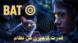 "How Bats See in the Dark – Nature’s Secret Sonar"