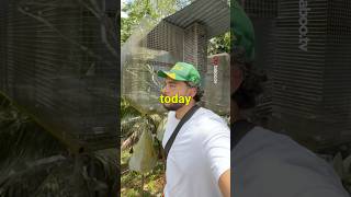 Panamas Craziest Zoo House