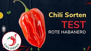 Geschmackstest: Rote Habanero - inkl. Schärfe-Experiment!