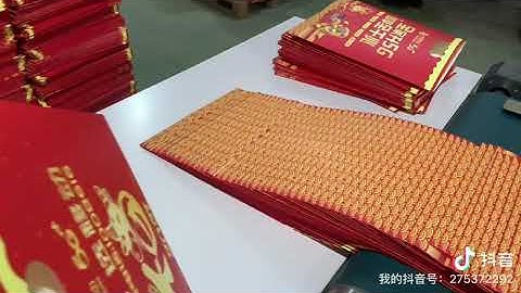 Automatic shopping paper bag handle making machine by Folder Gluer Rolam