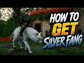 Crimson Desert Guide:  How to Unlock the Legendary Silver Fang Mount