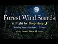 Forest Wind Sounds at Night for Deep Sleep 🌙 Relaxing Nature Ambience 2 Hours Forest Sleep #7