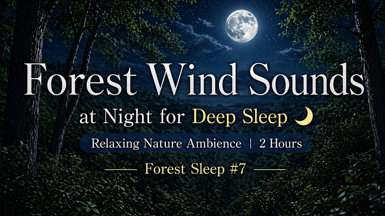 Forest Wind Sounds at Night for Deep Sleep 🌙 Relaxing Nature Ambience 2 Hours Forest Sleep #7