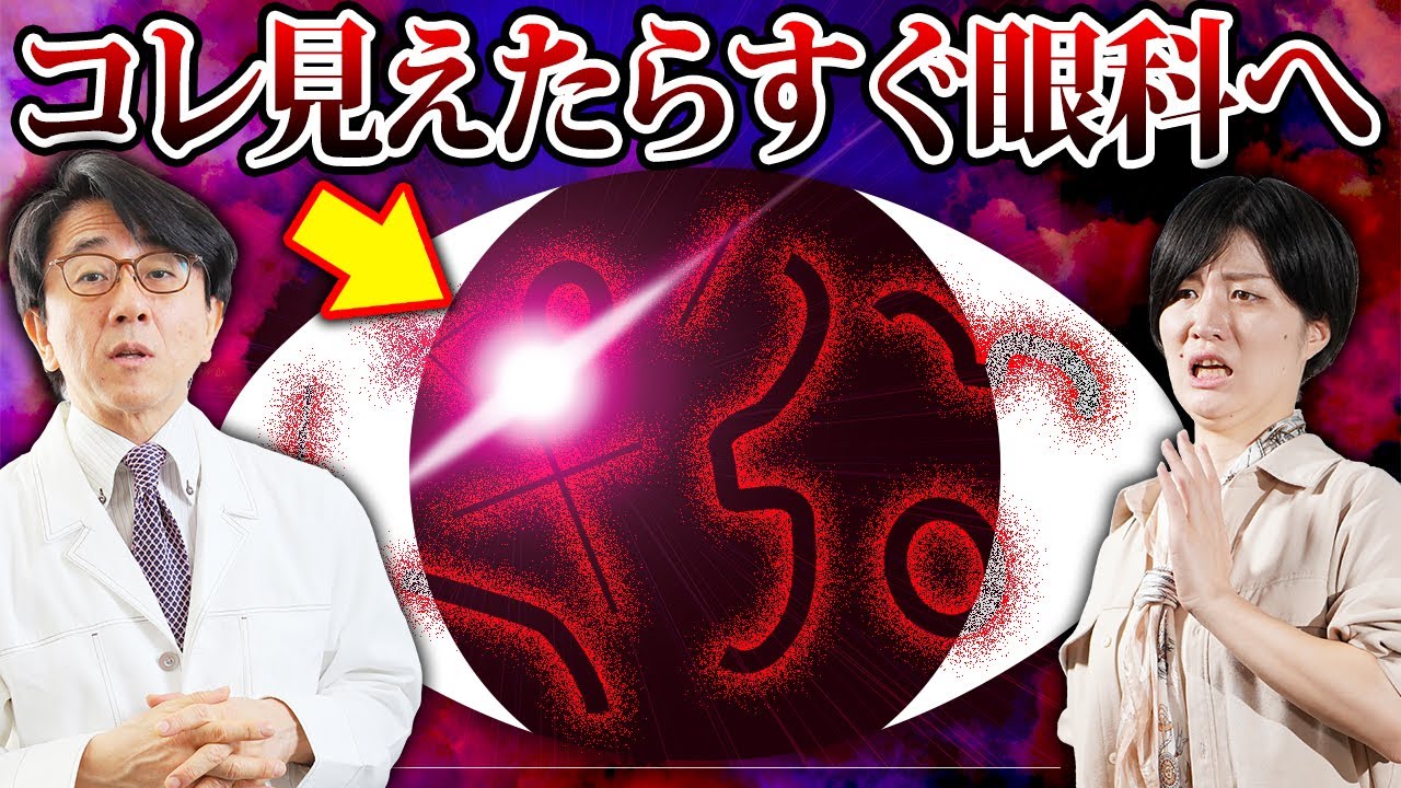 カイロプラクティック哲学 絶版希少 カイロプラクティック 鍬谷