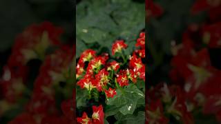 Unreal Engine 5.4 New Tool Motion Design And Megascans Assists Engine