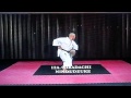 PINAN SHANDAN JYOSHINMON SHORIN RYU