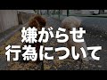 ストーカー被害で家を失い大変な目に合いました