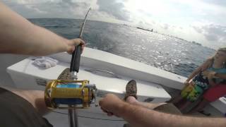 Mike Helszajn Catching An Amberjack Onboard Out Of The Blue 15 04 16