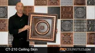CT-210 Skin - Ceiling Tile