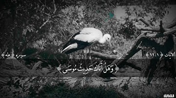 ما تيسر من سوره طه الآيات من (1 الى12)  بصوت الشيخ اسلام صبحي.  تلاوه من القلب ♥️♥️