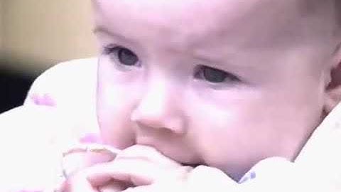 Object Concept   VOE Screen Task Baillargeon CC