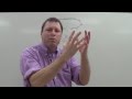 Bacterial Transformation Quiz