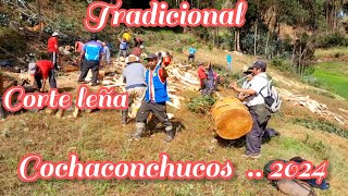 Costumbres y Tradiciones "Corte leña" Cocha.. #Pampas #Pallasca #Ancash @JhordanMarinosCarranza