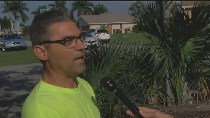Gator gets stuck in grate in Cape Coral