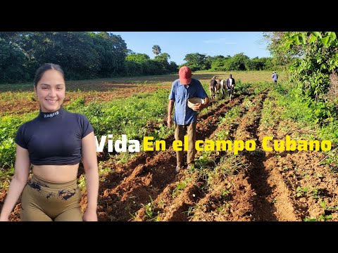 La vida en el CAMPO.¿Mejor o peor que en la ciudad?🇨🇺🤔