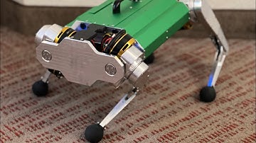 Quadruped V1 Pronking