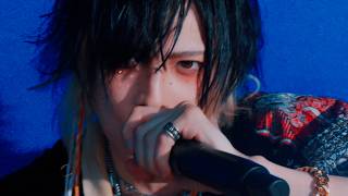 BORN IN DESPAIR -MV-【VALHALLA】