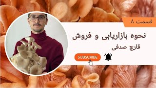 "رازهای موفقیت در بازاریابی قارچ صدفی: راهبردهایی برای جذب مشتریان"