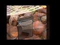 Free Standing Hammock - TOP 10 Hammock with Stand Free Standing Hammock - TOP 10 Hammock with Stand