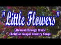 Little flowers countrygospel song by lifebreakthrough