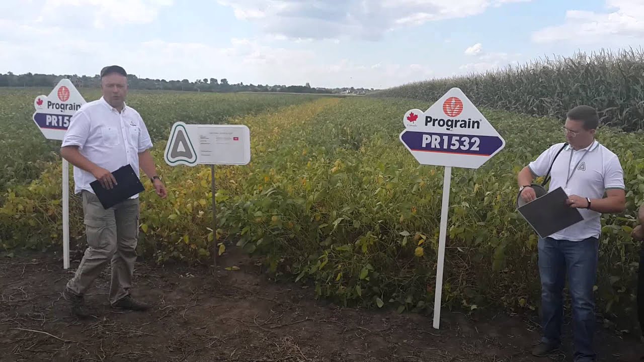 прогрейн соя. ражт семанс россия официальный дилер. прогрейн ру. прогрейн соя официальный сайт. прогрейн соя.