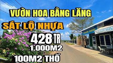 Đã bán) chị cúc nợ nần, bán gấp vườn hoa bằng lăng, sát lộ nhựa, thổ cư 100m2, Cẩm Mỹ Đồng Nai