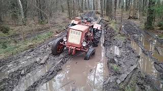 Т-25 Владимирец в лісі