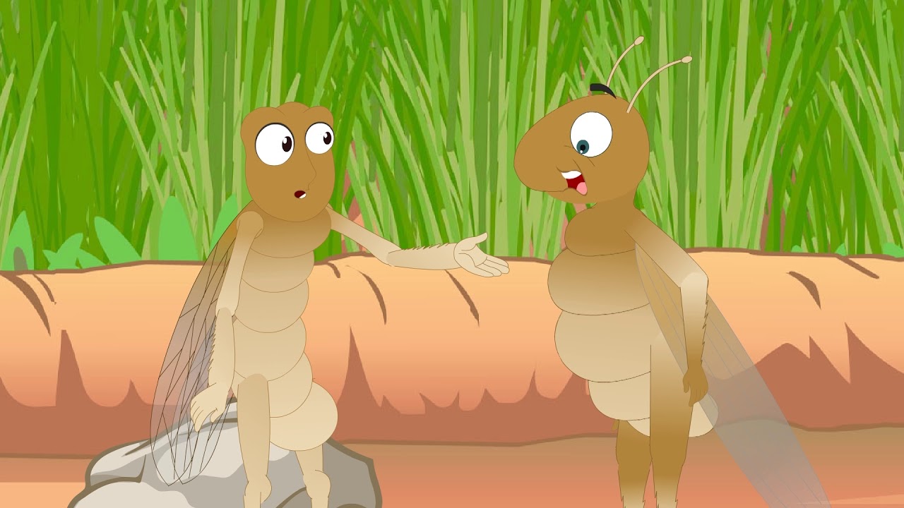 Gujarat Crop Sciences | Best fertiliser Product Video | Ayushmi creation | Animation Studio in India