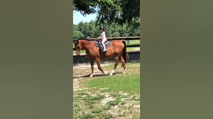 I am going to be doing a horse video